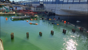 An der EÜ Bahnhofstraße hat der Bodenaushub und der Einbau der Unterwasserbetonsohle stattgefunden