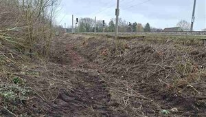 Im gesamten Bauabschnitt wurden Vegetationsarbeiten für zukünftige Kampfmittelsondierungen durchgeführt. 